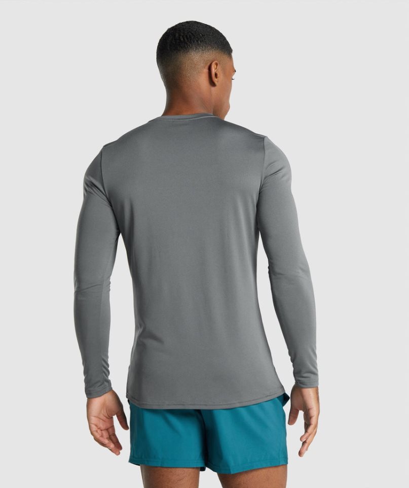 Koszulki Gymshark Arrival Long Sleeve Grafiką Męskie Szare | PL 251ADW